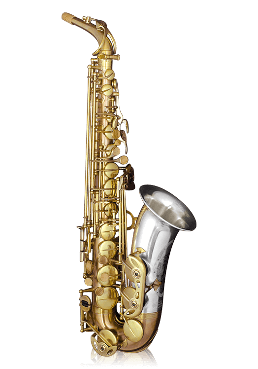 Alto detail, plus 2006 tvbrs