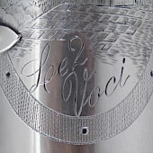 Tenor detail, img 1341