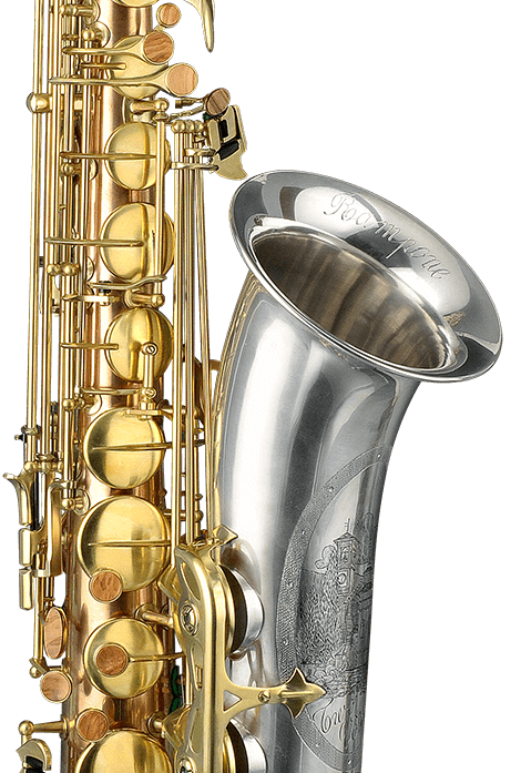 Tenor detail, top 2008 tvbrs